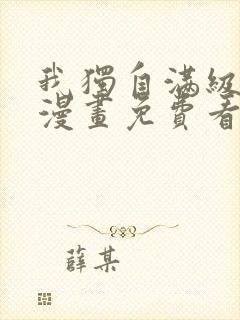 我独自满级新手漫画免费看41封面