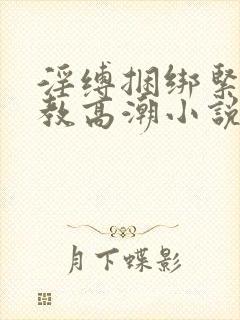 淫缚捆绑紧缚调教高潮小说