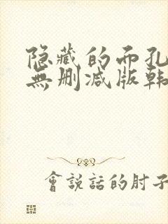 隐藏的面孔韩剧无删减版韩国