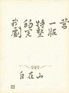 我的特一营电视剧完整版