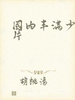 国内丰满少妇毛片