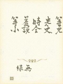 等着时光等着你小说全文免费阅读