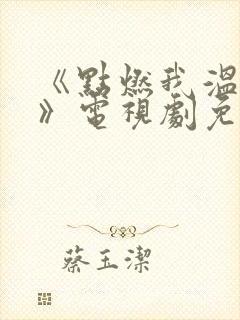 《点燃我温暖你》电视剧免费观看