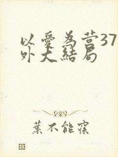 以爱为营37番外大结局