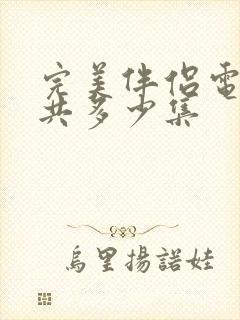 完美伴侣电视剧共多少集