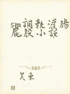 sm调教灌肠打屁股小说
