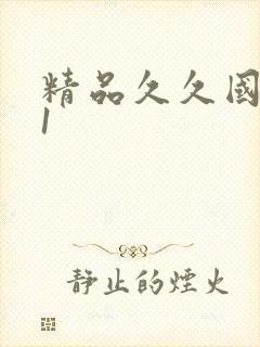 精品久久国产91