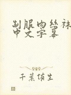 制服肉丝袜亚洲中文字幕封面