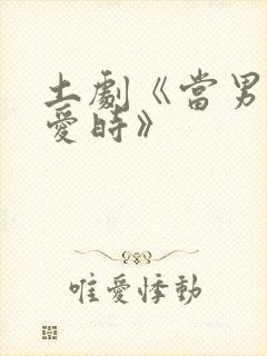 土剧《当男人恋爱时》封面