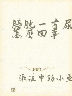 膀胱一有尿就疼怎么回事