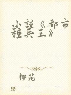 小说《都市之特种兵王》封面