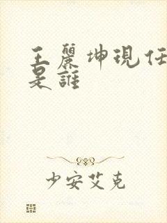 王丽坤现任丈夫是谁