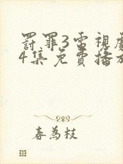 罚罪3电视剧24集免费播放封面