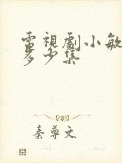 电视剧小敏家共多少集