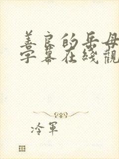 善良的岳母中文字幕在线观看