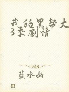 我的黑帮大佬第3季剧情