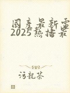 国产最新电视剧2025热播最火剧免费观看