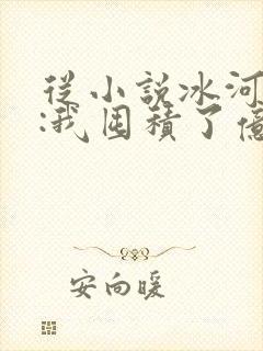 从小说冰河末世:我囤积了亿亿万物资小说