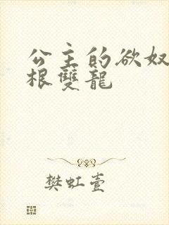 公主的欲奴h四根双龙