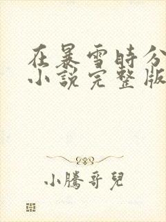 在暴雪时分原著小说完整版