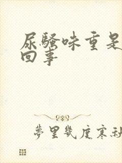 尿骚味重是怎么回事