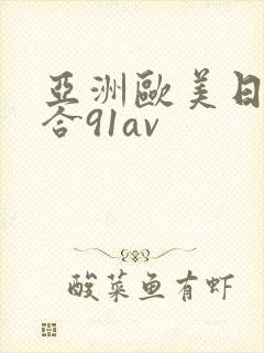 亚洲欧美日韩综合91av