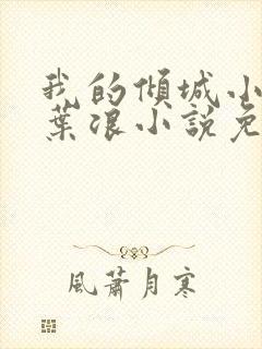 我的倾城小师姐叶浪小说免费阅读