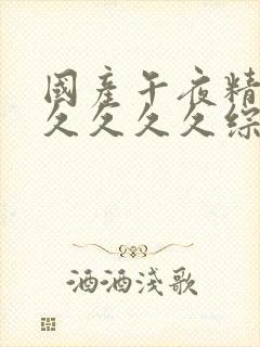 国产午夜精品久久久久久综合