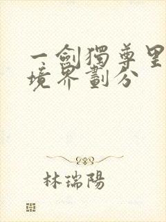 一剑独尊里面的境界划分