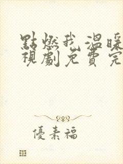 点燃我温暖你电视剧免费完整版22集