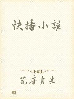 快播小说