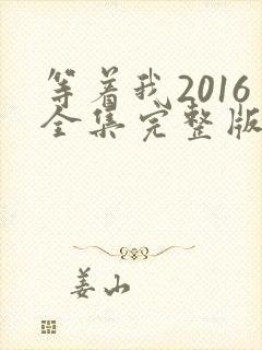 等着我2016全集完整版免费观看