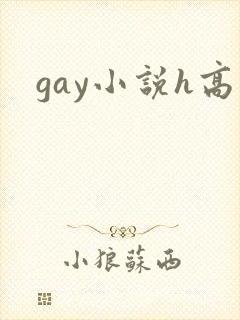 gay小说h高