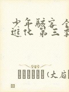 少年骇客 全面进化 第三季