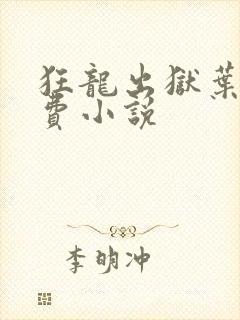狂龙出狱叶风免费小说封面