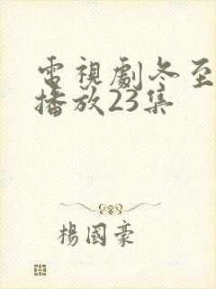 电视剧冬至免费播放23集