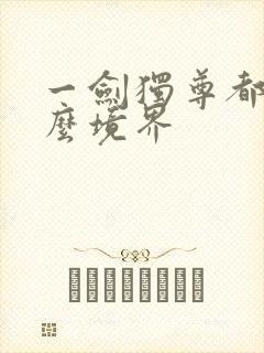 一剑独尊都有什么境界