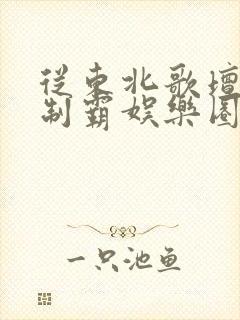 从东北歌坛出道制霸娱乐圈小说封面