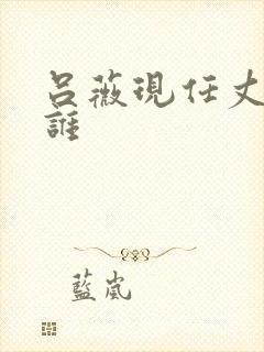 吕薇现任丈夫是谁