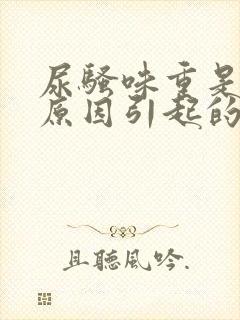 尿骚味重是什么原因引起的