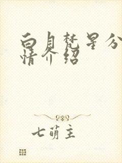 白月梵星分集剧情介绍