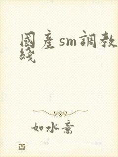 国产sm调教在线