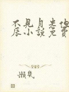 不见月光但见星辰小说免费阅读封面