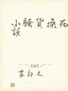 小骚货操死你小说