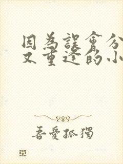 因为误会分开后又重逢的小说