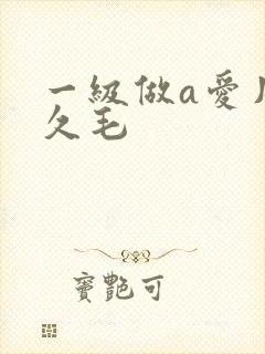 一级做a爱片久久毛