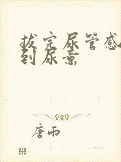 拔完尿管感觉不到尿意