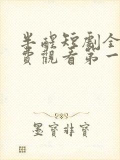 半醒短剧全集免费观看第一季高清