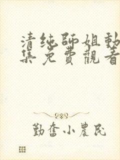清纯师姐动漫全集免费观看完整版