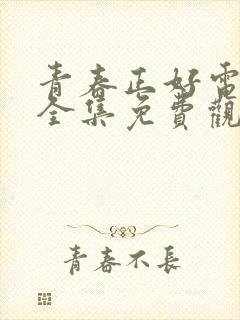 青春正好电视剧全集免费观看完整版